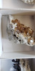 Rare Honey Fluorite from Clay Center Ohio