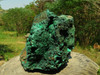 Natural Beautiful Extra Large Malachite Stalactitic Geode Museum Quality Specimen - Almost 50 lbs!