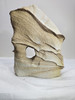 Natural Kanab Goldenstone Sandstone Free Form from Utah, USA