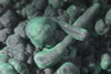Large Botryodial Malachite Display Piece