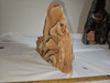 Beautiful Natural Arizona Sierra Sand Stone Free Form - Over 8 Inches Tall