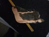 Float Copper Ore  - Decorator Ore - Native Copper from Michigan - USA
