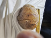 Artist Grade Natural Citrine Boulder Agate Geode with Citrine Agate Crystal Center - Book End Style Cut Artist Grade Natural Citrine Boulder Agate Geode with Citrine Agate Crystal Center - Book End Style Cut