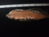 Long Float Copper Ore Slab - Michigan Native Copper #16 Long Float Copper Ore Slab - Michigan Native Copper #16
