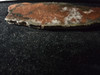 Long Float Copper Ore Slab - Michigan Native Copper #18 Long Float Copper Ore Slab - Michigan Native Copper #18