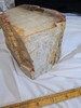 Large Petrified Wood Log  - Top Polished 