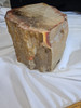 Large Petrified Wood Log  - Top Polished 