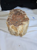 Large Top Polished Petrified Wood Log 
