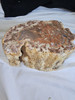 Large Top Polished Petrified Wood Log 
