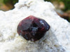 Natural Red Garnets on White Quartz Matrix