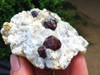 Natural Red Garnets on White Quartz Matrix