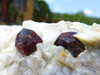 Natural Red Garnets on White Quartz Matrix