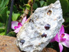 Natural Red Garnets on White Quartz Matrix