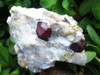 Natural Red Garnets on White Quartz Matrix