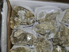 Natural Gold Mica - Single Specimen - Morocco.  Grab Bag