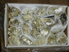 Flat of  Natural Gold Mica Specimens - 4 x 7 Flat - Grab Bag.