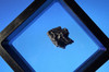 Meteorite - from Campo Del Cielo  - floating box.  10 grams.