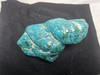  Large Polished Natural Botryoidal Chrysocolla and Malachite Specimen
