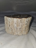 Petrified Wood Log  - Top Polished - Madagascar