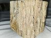 Petrified Wood Log  - Top & Bottom Polished - Madagascar