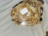 Petrified Wood Log  - Top & Bottom Polished - Madagascar