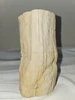 Petrified Wood Log  - Top Polished - Madagascar
