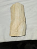 Petrified Wood Log  - Top Polished - Madagascar