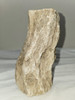 Petrified Wood Log - Top & Bottom Polished - Madagascar