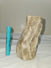 Petrified Wood Log - Top & Bottom Polished - Madagascar