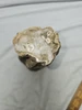 Petrified Wood Log - Top & Bottom Polished - Madagascar