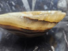 Beautiful Patterned Mexican Onyx Bowl 