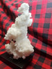 Dinosaur Calcite (Dino Calcite) Calcite/Aragonite Mineral Specimen from Mexico