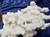 Dinosaur Calcite (Dino Calcite) Calcite/Aragonite Mineral Specimen from Mexico