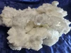 Dinosaur Calcite (Dino Calcite) Calcite/Aragonite Mineral Specimen from Mexico