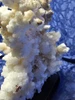 Large Aragonite Mineral Specimen from Mexico