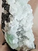 Zeolite - Green apophyllite/ fluorapophyllite crystals in an Albite field