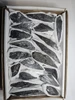 Black Kyanite Specimens in matrix 1 - 2" range - Great for jewelry