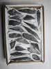 Black Kyanite Specimens in matrix 1 - 2" range - Great for jewelry