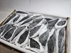 Black Kyanite Specimens in matrix 1 - 2" range - Great for jewelry