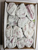 Pink Tourmaline Specimens in matrix 1 - 2" range