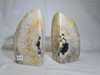 Artist Grade Natural Citrine Boulder Agate Geode with Geothite Crystal Center - Book End Style Cut