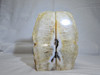 Artist Grade Natural Citrine Boulder Agate Geode with Geothite Crystal Center - Book End Style Cut
