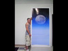 The Moon - - 42" x 88" Tall Wall Mural / X-Large Poster