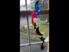 Moon And Star Shaped Multi Colored Agate Slab Wind Chime with Bamboo style hanger - Large