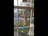 Agate Windchimes - Sun Catchers - Mobile  - Small - Multi Colored Agate Slabs with Bamboo style hanger