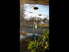 Agate Windchimes - Sun Catchers - Mobile  - Small - Teal  Colored Agate Slabs with Bamboo style hanger