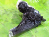 Natural Black Tourmaline / Schorl specimens  - Grab Bag