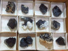 Natural Black Tourmaline / Schorl specimens  - Grab Bag