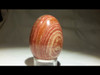 Red Snakeskin 45 mm Polished Egg 