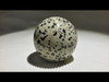 Dalmatian Jasper 40 mm Polished  Sphere - Crystal Ball 